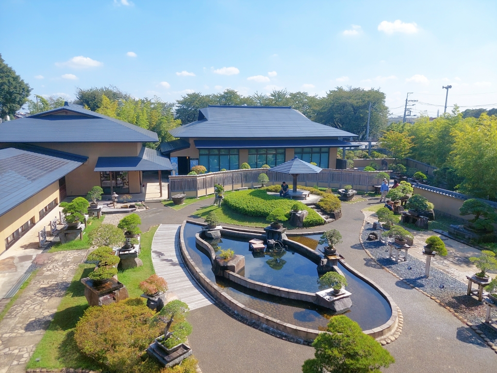 大宮盆栽村・盆栽美術館・BONSAI